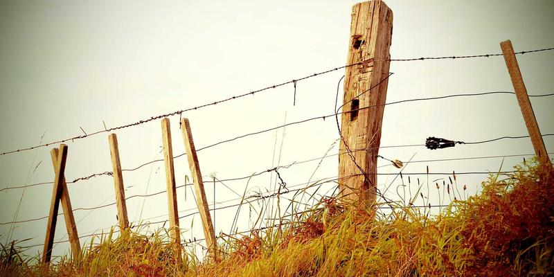 战略规划体系搭建的五个阶段